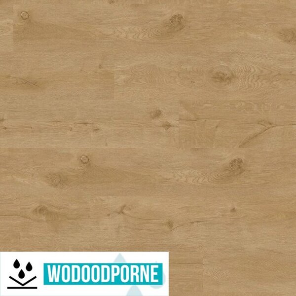 Panele Winylowe Lvt Tarkett Click Alpine Oak Natural X Favi Pl