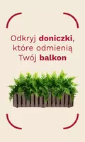 Flower pots / Balcony Furnitures / June
