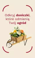 flower pots / garden furniture / june