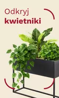 Flower stands / Flower pots / June