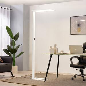 Lampa stojąca Taronis PRIOS, możliwość ściemniania, biały / opal, biuro, aluminium, nowoczesny