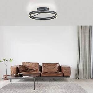 PURE Lampa sufitowa LED Loop, możliwość ściemniania, aluminiowy / szary / cynkowy, salon / jadalnia, aluminium, nowoczesny