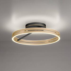 PURE Lampa sufitowa LED Loop, możliwość ściemniania, mosiężny / złoty, salon / jadalnia, aluminium, nowoczesny