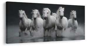 Obraz dziki galop białych koni