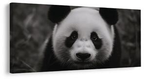 Obraz czarno-biała panda z uśmiechem