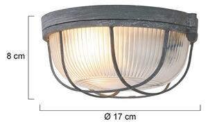 Steinhauer Lampa sufitowa Lisanne, możliwość ściemniania, aluminiowy / szary / cynkowy, przedpokój, metal