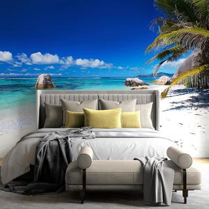 Fototapeta Plaża Anse Source