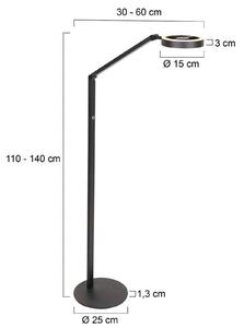 Steinhauer Lampa stojąca LED Ringlux, czarna, metalowa, regulowana możliwość ściemniania, czarny, salon / jadalnia, metal, nowoczesny