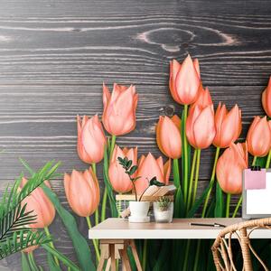 Fototapeta pomarańczowe tulipany na drewnianym tle