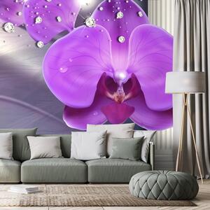 Tapeta orchidea przy greckich kolumnach