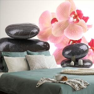Fototapeta kamienie i orchidea