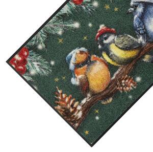 Wycieraczka Winter Birds 50 x 75