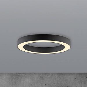 PURE Lampa sufitowa LED Lines, możliwość ściemniania, czarny, salon / jadalnia, aluminium, nowoczesny