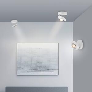 PURE Lampa sufitowa LED Oculis, możliwość ściemniania, biały / opal, salon / jadalnia, nowoczesny