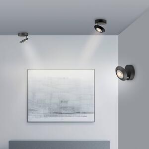 PURE Lampa sufitowa LED Oculis, możliwość ściemniania, czarny, salon / jadalnia, nowoczesny