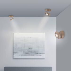 PURE Lampa sufitowa LED Oculis, możliwość ściemniania, brązowy / mosiężny, salon / jadalnia, nowoczesny