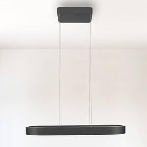 Paul Neuhaus Lampa wisząca Q-Stretto, możliwość ściemniania, czarny, salon / jadalnia, metal, nowoczesny