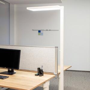 Maul Lampa stojąca LED MAULjura, możliwość ściemniania, biały / opal, biuro, aluminium, nowoczesny