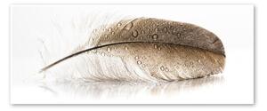 Obraz Styler Glasspik Wings, 50x125 cm