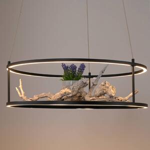 Paul Neuhaus Lampa wisząca Conni, możliwość ściemniania, czarny, salon / jadalnia, metal, nowoczesny