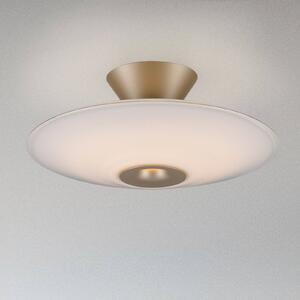 Paul Neuhaus Lampa sufitowa LED Elipsa, możliwość ściemniania, biały / opal, salon / jadalnia, szkło