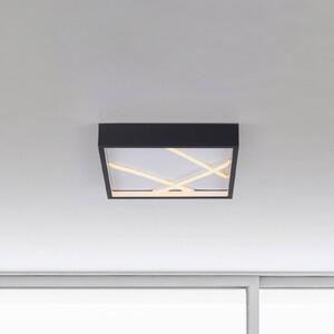 JUST LIGHT. GmbH Lampa sufitowa LED Mikado, możliwość ściemniania, czarny, salon / jadalnia, metal, nowoczesny