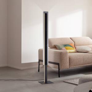 Schöner Wohnen Lampa stojąca LED Lena, możliwość ściemniania, czarny, salon / jadalnia, metal, nowoczesny