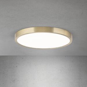 ORION Lampa sufitowa LED Disc, możliwość ściemniania, brązowy / mosiężny, salon / jadalnia, aluminium, nowoczesny
