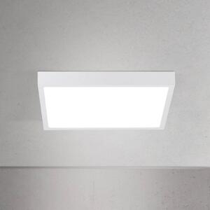 ORION Lampa sufitowa LED Disc, możliwość ściemniania, biały / opal, salon / jadalnia, aluminium, nowoczesny