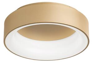 Luce Ambiente Design Lampa sufitowa LED Noah, mosiężny / złoty, salon / jadalnia, aluminium, nowoczesny