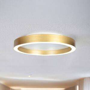 Steinhauer Lampa sufitowa LED Ringlux, możliwość ściemniania, mosiężny / złoty, salon / jadalnia, metal, nowoczesny