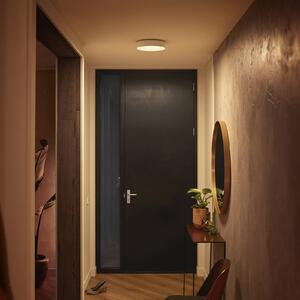 Philips Hue Inteligentna lampa sufitowa Hue, możliwość ściemniania, biały / opal, salon / jadalnia, metal, nowoczesny