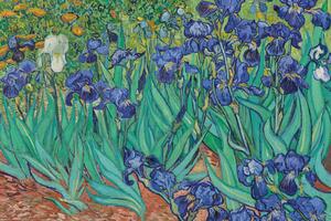 Plakat, Obraz Vincent van Gogh - Les Irises