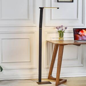 Lampa stojąca LED Salome Lucande, możliwość ściemniania, czarny, biuro, aluminium, nowoczesny