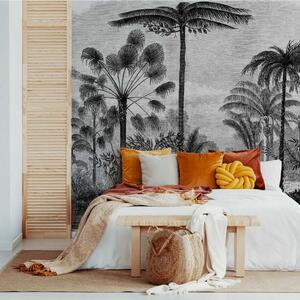 Fototapeta Czarno-biały rysunek palm, Fototapety Dżungla, Popularne Fototapety, u52596 - Tapeko.pl