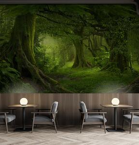 Fototapety Starożytny las, Fototapety Natura, u56167 : Uwalls.pl