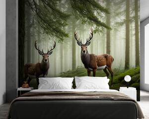 Fototapety Majestatyczny jeleń w lesie, Fototapety Zwierzęta, Fototapety Jeleń, u94515 : Uwalls.pl