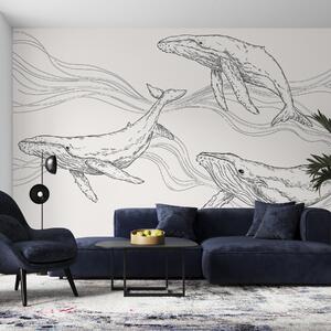 Fototapety Wieloryby w oceanie, zwierzęta morskie, line art, minimalizm, czarno-białe kolory, Fototapety designerskie, u99733v4 : Uwalls.pl