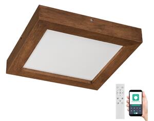 Brilagi Brilagi-Ściemnialne oświetlenie LED WOODY FRAME LED/24W/230V dąb 30x30 cm IP44 + pilot BG0860