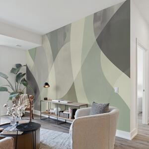 Fototapety Miękkie krzywizny w stonowanych barwach z płynnymi liniami i zielonymi gradientami,, Nowoczesne Fototapety, w01334 : Uwalls.pl
