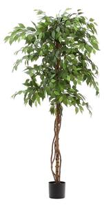 Sztuczny fikus (wysokość 180 cm) Ficus – Kave Home