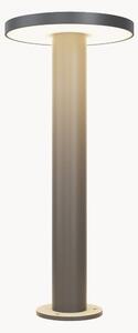 Lampa zewnętrzna LED Wald
