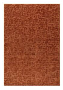 Dywan w kolorze terakoty 200x290 cm – Asiatic Carpets