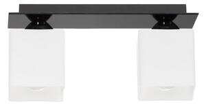 Podwójna lampa sufitowa E390-Flox - czarny