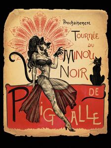 Ilustracja Tournee Minou Noir, Alchemy