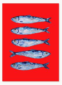 Druk cyfrowy Sardines Berry Red