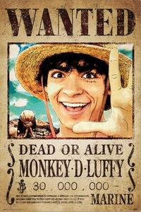 Plakat, Obraz One Piece - Wanted Monkey D Luffy