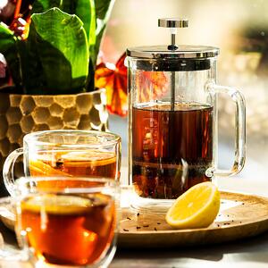 Termiczny french press Hot&Cool, 600 ml