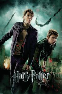 Druk artystyczny Harry Potter - Fred and George