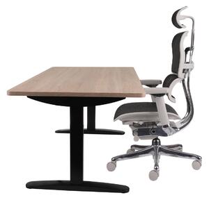 Fotel biurowy Ergohuman 2 Luxury + Biurko regulowane Alto 102 Black